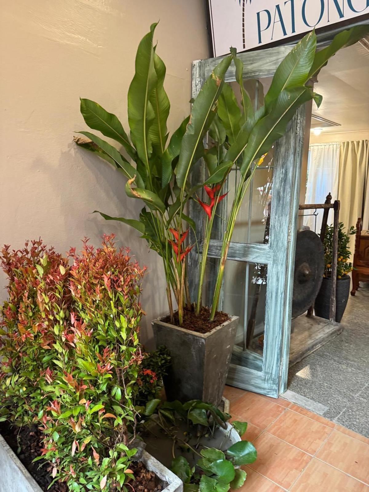 The Taksim Patong Beach Hotel المظهر الخارجي الصورة
